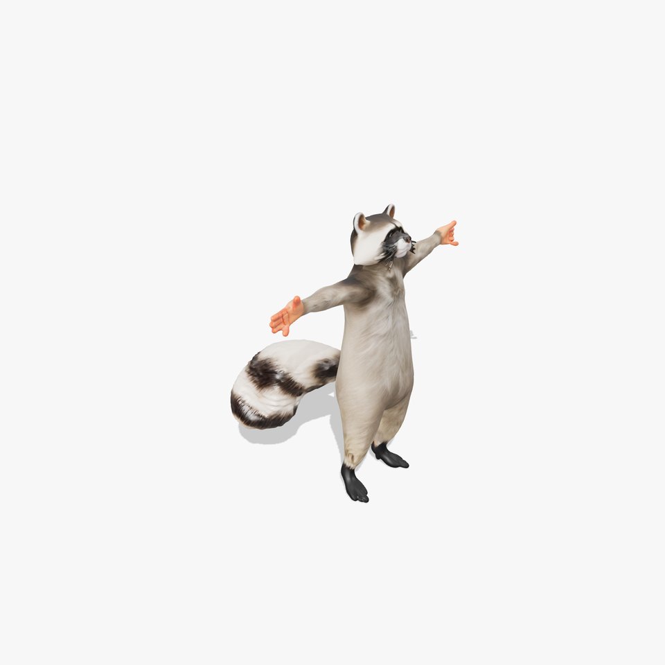 Lifelike Raccoon model pack
